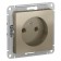SE ATLASDESIGN, 16 A, without salary, mechanism, champagne color