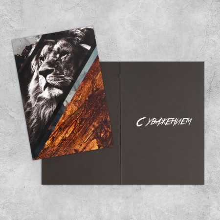 Set of postcards "For all occasions", 20 pcs, 12 × 18 cm-19