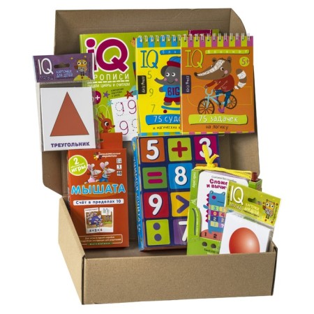Package. The basic IQ-IGR set for the development of account skills