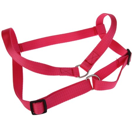 Kapon-fast cabble is quickly removable, chest girth is 45-67 cm, width 2.5 cm, mix-2