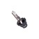 Xenon lamp Xenite Premium D2R (4300K) Long Life