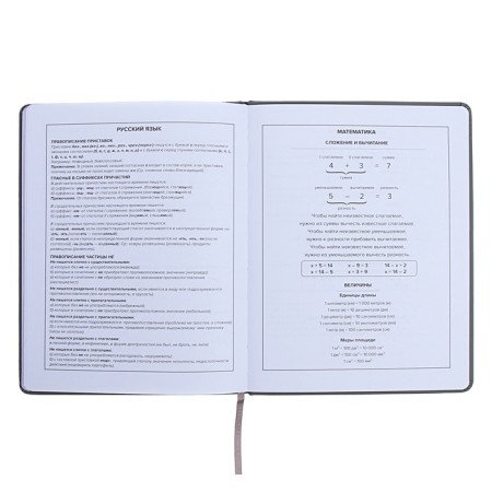 Universal Grade 1-11 Diary, 48 JIUCY sheets, firm artificial leather cover, foil embossing, pancake embossing, rhinestones, liesse-12