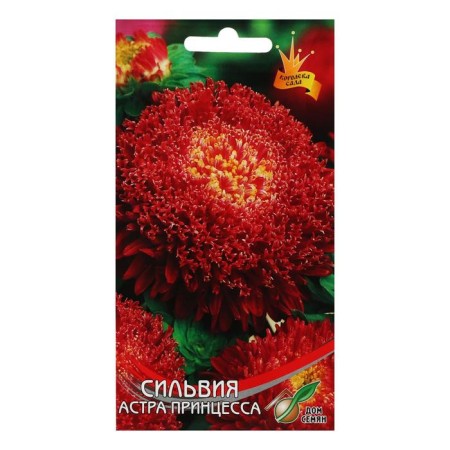 Flowers of Astra "Princess Sylvia", 90 pcs