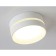 Ambrella Light, IP Protect, TN5391, GX53, white, white matte color