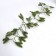 Decor "spruce spray", set of 10 pcs., Size 1 pc. - 8 × 8 × 2 cm