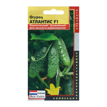 Cucumber seeds "Atlantis", F1