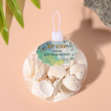 Natural decorative shells "White" set of 100 grams-3
