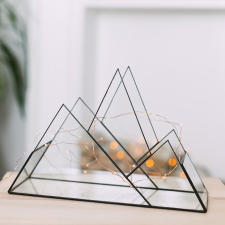 Florarium "Mountains" (Switch Silver)-1