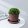 Flower pot with a pallet, 800 ml, brown color, chick shade