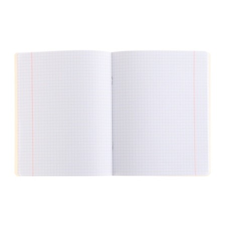 Notebook A5, 48 sheets in a cage on the BG paper clip "Thoughts Positive", cover coated cardboard, foil embossing, mix-1