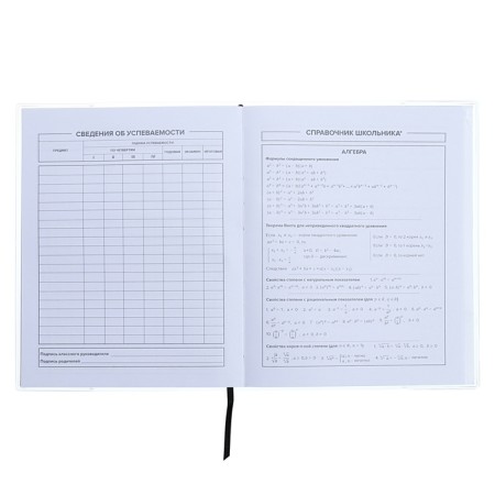 Universal Diary Grade 1-11, 48 sheets "Cosmonaut", a soft cover of PVC, embossing with foil, liesse, block offset-8