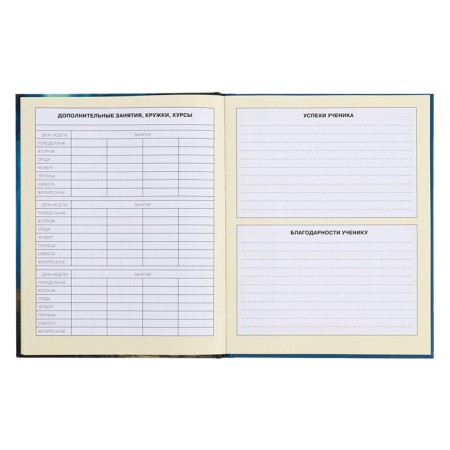 Diary for grades 1-4, hard cover "Fairytale", matte lamination, selective varnish, block 60 g/m2-8