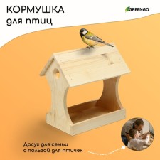 Bird feeder 