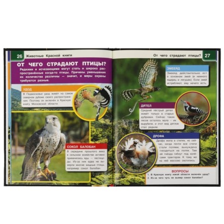 A4 Encyclopedia with augmented reality "Animals of the Red Book of 4D"-3