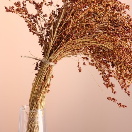 A set of dried flowers "sorghum", banch 3-5 pcs, length 60 (+/- 6 cm), natural-1