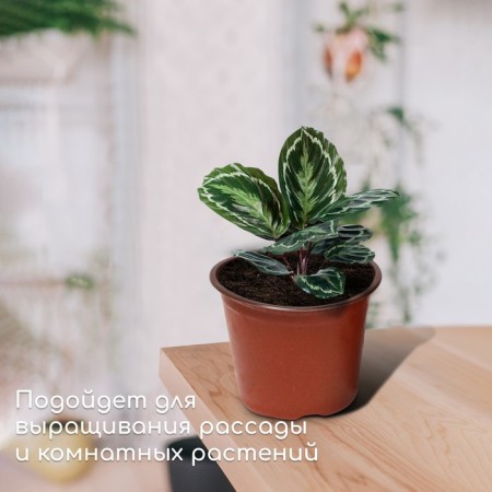 Pot for seedlings, 1.56 l, d = 16 cm, h = 13 cm, terracotta, Greengo-2