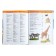 Encyclopedia for the kindergarten "Baby animals", Klyushnik L.V.