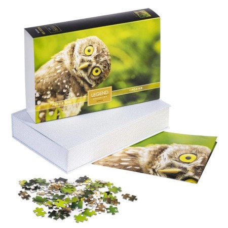 Puzzles "wise owl" in a gift box, 500 elements + poster-1