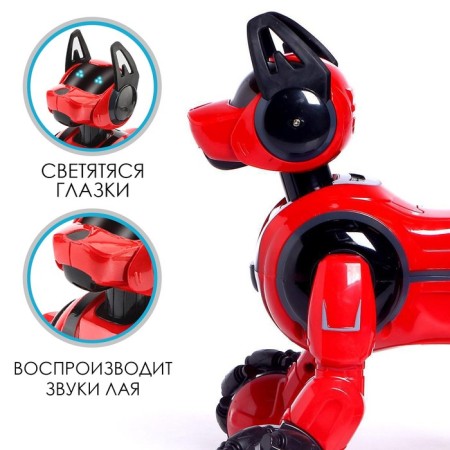 Robot dog Stunt, on the control panel, interactive: sound, light, on the battery, red-4