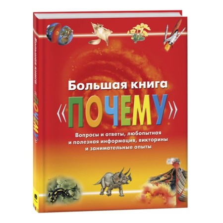 Big book "Why"