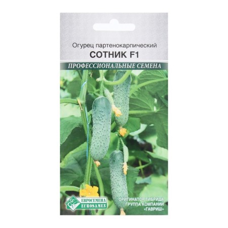 Seeds Cucumber Partenocarpik Hallowel F1, 5 pcs