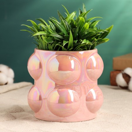 Kashpo "Hunter" 11x12x10cm mix