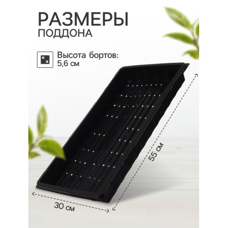 Patron for seedlings 55 x 30 x 5.6 cm, plastic (with hardenings), "Greengo"-1