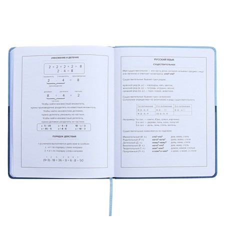 Universal Diary Grade 1-11, 48 sheets "Blue", a solid cover made of artificial leather, pancake embossing, Lasasse-12