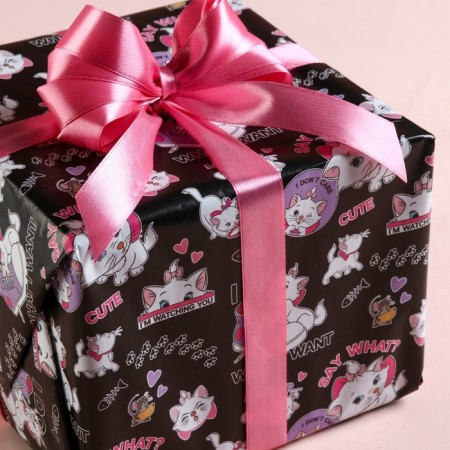 Package paper, cats aristocrats, 70x100 cm-4
