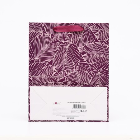 Gift package "Fern on the purple", 26 x 32 x 12 cm-1
