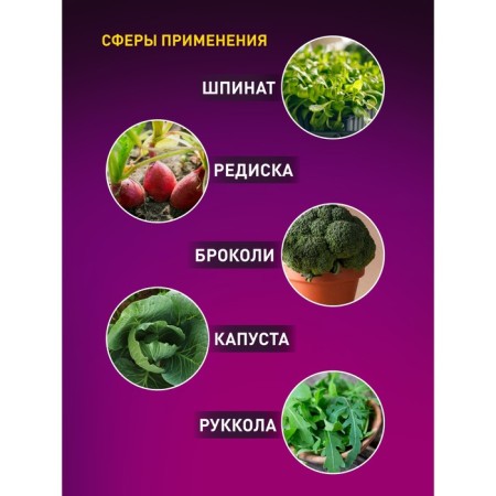 Phytolamp for plants LED era Fito-18W-Rb-E27 red-blue spectrum 18 W E27-3