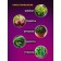 Phytolamp for plants LED era Fito-18W-Rb-E27 red-blue spectrum 18 W E27