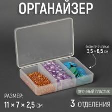 Organizer for needlework, 3 departments, 11 × 7 × 2.5 cm, transparent color