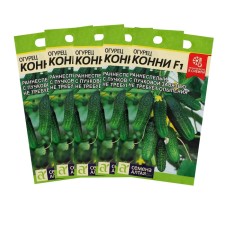 Cucumber seeds 