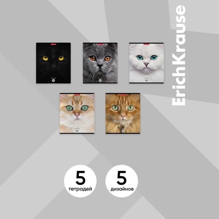 Notebook A5 96 sheets in a cage, Erichkrause "Cats", covered Cardboard, matte lamination, selective UV-LK, OFSET 100% White, MIX (1 species in Spike)-1
