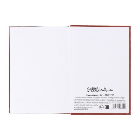 Dated diary of 2025, A5, 168 sheets, boumvinyl, brown-8