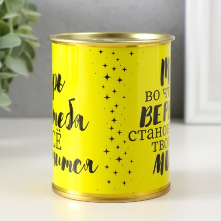 Pigger Bank Metal "Believe in yourself and you will succeed"-1