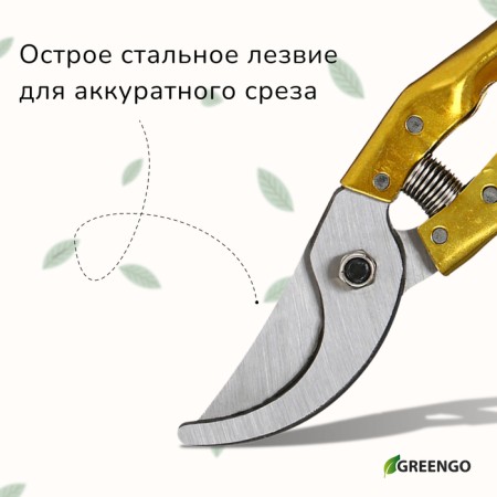 Planning coater, 8 "(20 cm), with metal handles, with a spare spring, Greengo-5