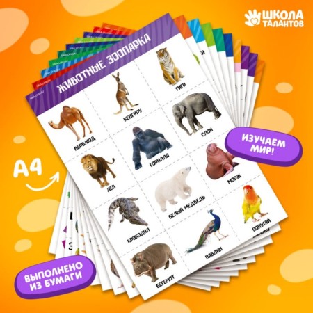 A set of training posters "Study the world", 10 in 1, A4-10