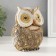 Polystone souvenir "Eye with golden eyes" 11x9x14 cm