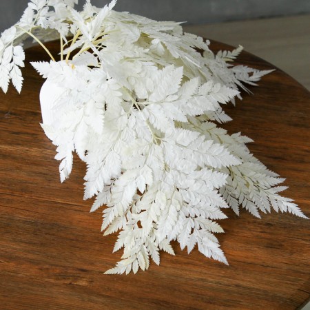 Sukhotzet "Paporotnik", White, 10 pcs. In the package-2