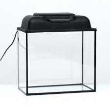 Aquarium 
