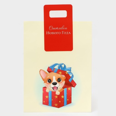 New Year's gift package with a trim “Best Gift” 30 x 40 x 12 cm.-1