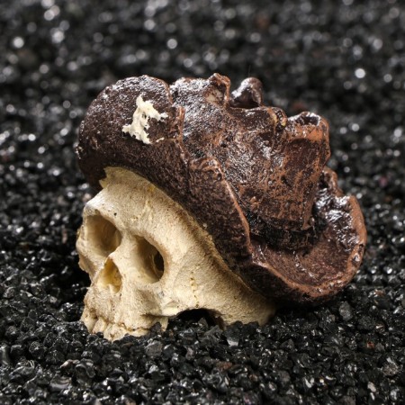 Decor for the Aquarium "Skull", 7 x 7 x 7 cm-3