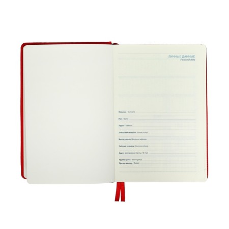 Dated diary 2024, A5, 168 sheets in the ruler, the leatherette "Nebraska", gold cut, red-3