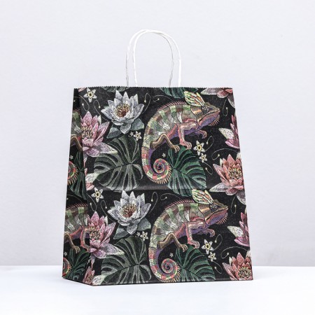 Paper package, craft 100 g/m2 25 x 22 x 12 cm "chameleon"