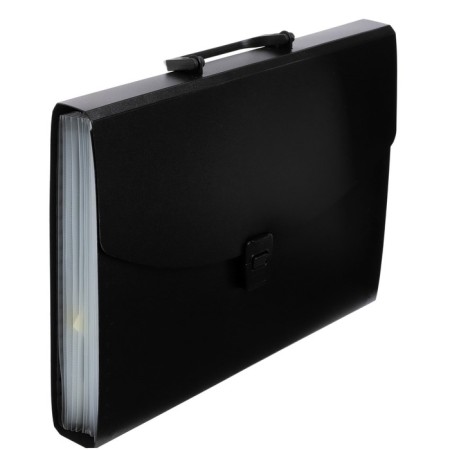 A4 Calligrata Portfli folder, 13 departments, 700 μm, up to 300 sheets, black-1