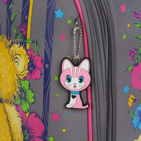 School backpack 36 x 28 x 16 cm, ergonomic back, stavia "bear", gray-5