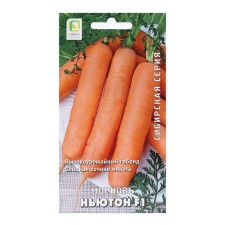 Seed Carrots 