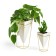 Set of desktop pots, ceramics, 15.5x14x20.3 cm, 11x9.8x14.3 cm, white